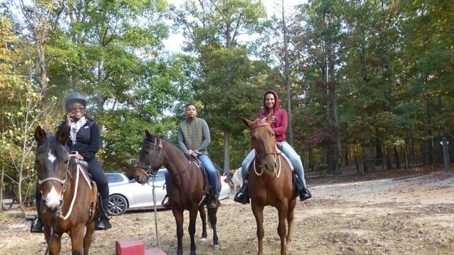Horseback Riding