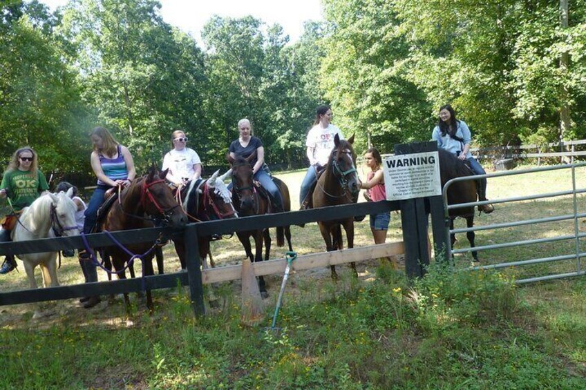 Georgia Horseback Ride with Wine Tasting