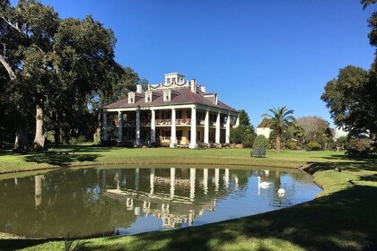 Airboat and Plantations Tour with Gourmet Lunch from New Orleans