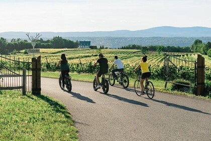Guided E-bike Tour with Tastings on Ile d'Orleans