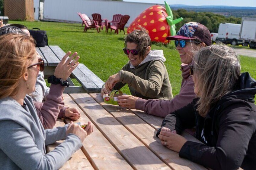 Guided E-bike Tour with Tastings on Ile d'Orleans