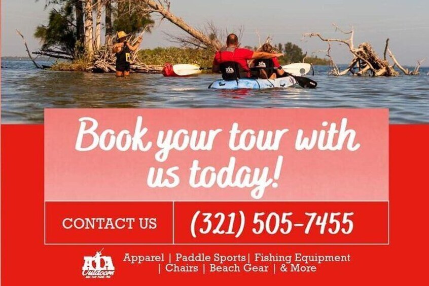 Fully Guided Kayaking Backwater Manatee and Dolphin Tour