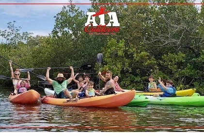 Fully Guided Kayaking Backwater Manatee and Dolphin Tour