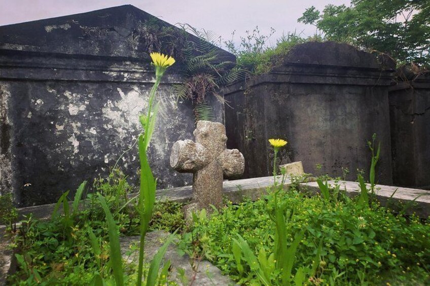 New Orleans Garden District Walking Tour Including Lafayette Cemetery No. 1