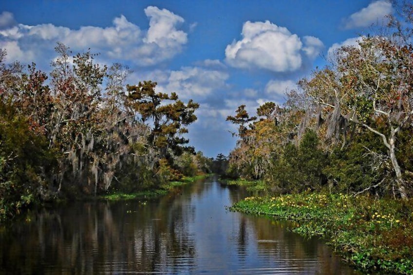 Small-Group Bayou Airboat Ride with Transport from New Orleans
