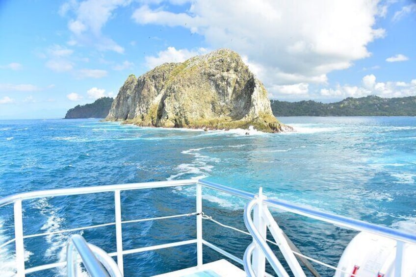 All Inclusive Catamaran Eco Adventure from Manuel Antonio