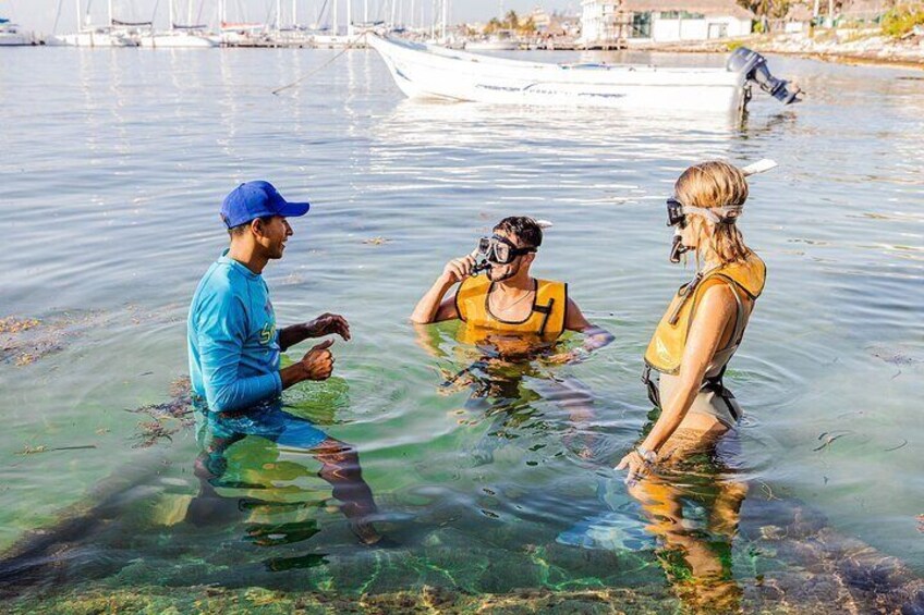 Reef and Shipwreck Snorkeling Tour in Cancun