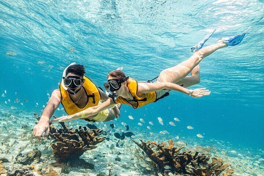 Reef and Shipwreck Snorkeling Tour in Cancun