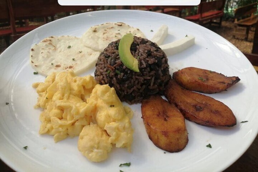 Arenal Volcano and Hot Springs Day Trip from Guanacaste