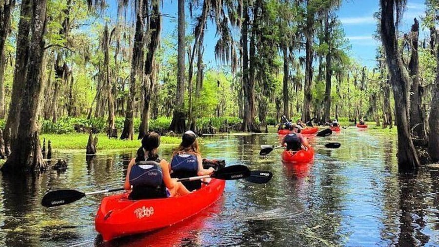 Small-Group Manchac Swamp Kayak Tour