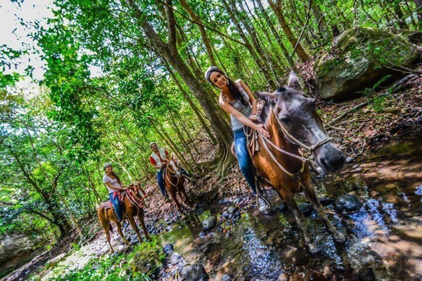 Vida Aventura Park in Guanacaste: Zipline Tour, Horseback Ride and Hot Springs