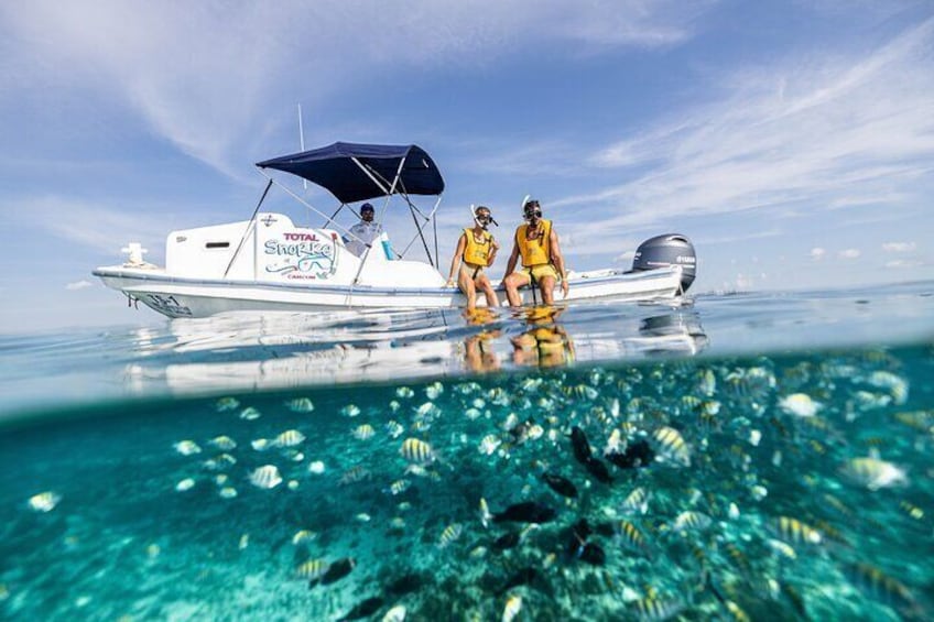 5-in-1 Cancun Snorkeling Tour:Swim with turtles, reef, Musa,shipwreck and cenote