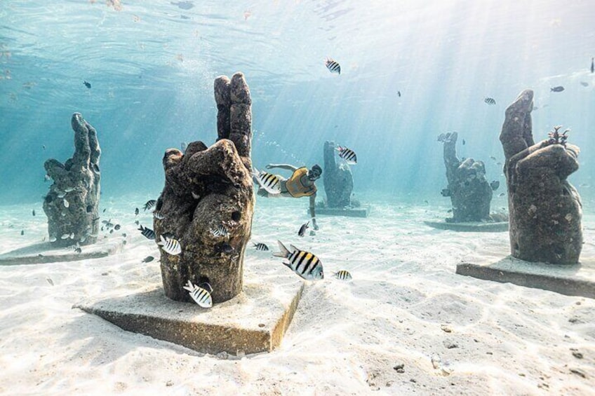 5-in-1 Cancun Snorkeling Tour:Swim with turtles, reef, Musa,shipwreck and cenote