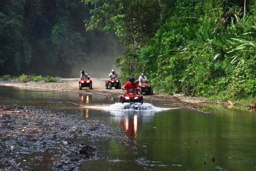 ATV 2 hour rainforest adventure