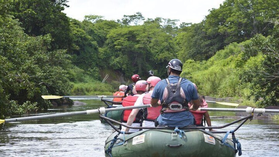 Private Sloth Encounter Waterfall And Corobici Floating Tour