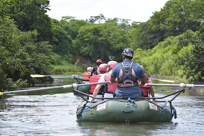 Private Sloth Encounter Waterfall And Corobici Floating Tour