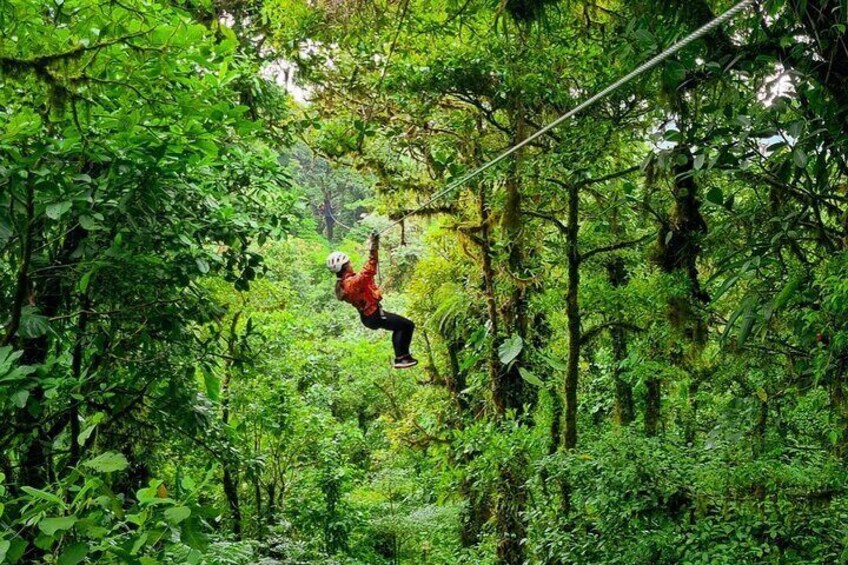 Selvatura Park Canopy Tour
