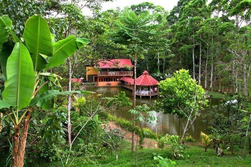 4-Hour ATV Waterfall & Delicious Rainforest Lunch