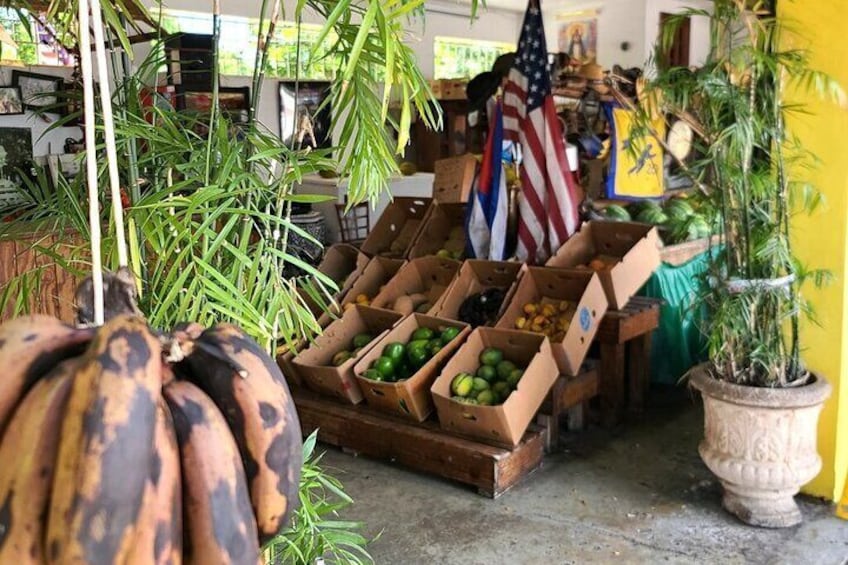 We visit the oldest business in all of Miami and showcase why Little Havana is so unique.