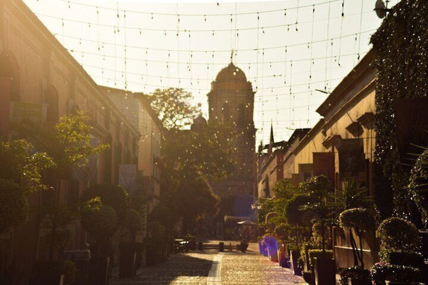 Full-Day Tequila Tour from Guadalajara