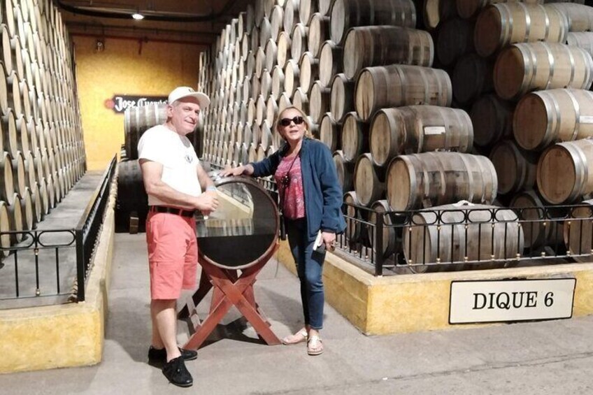 Full-Day Tequila Tour from Guadalajara