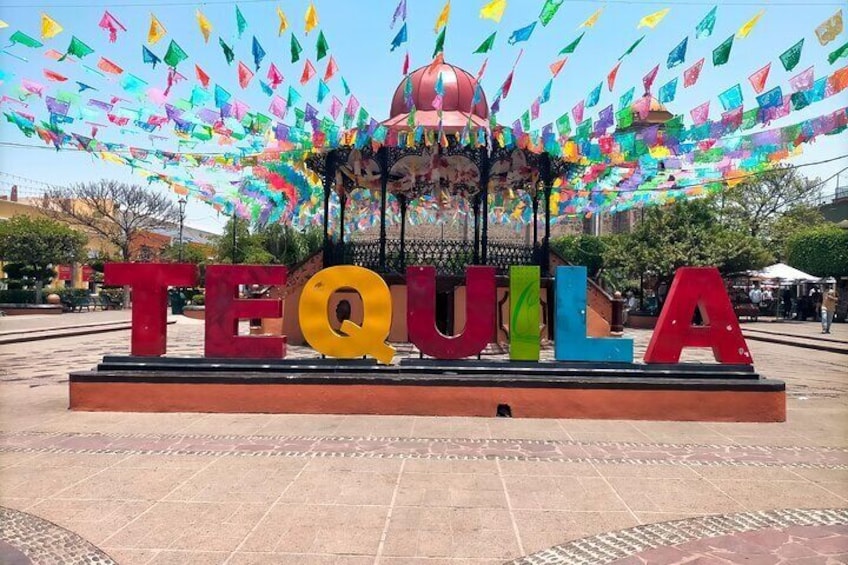 Full-Day Tequila Tour from Guadalajara