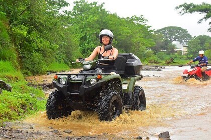 オーシャン ビュー ジップ ライン + 3 時間 ATV & 滝コンボ ツアー