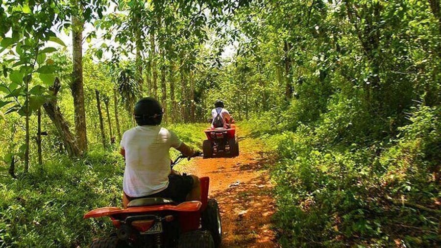ATV 2 hour rainforest adventure