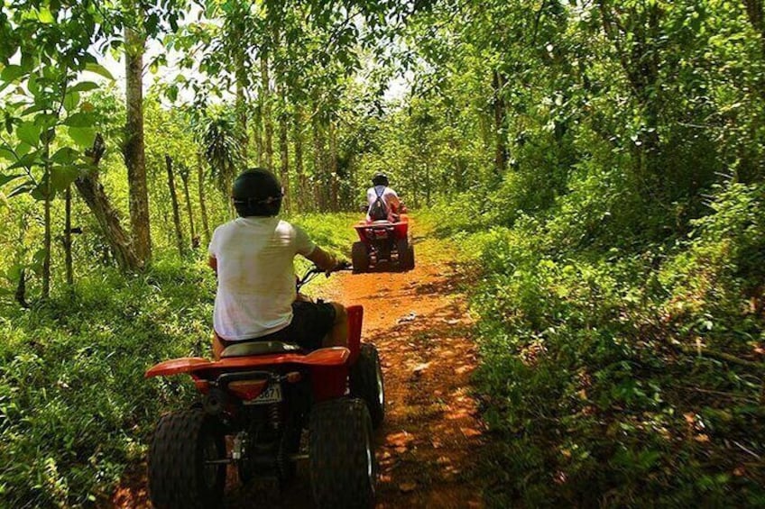 ATV 2 hour rainforest adventure