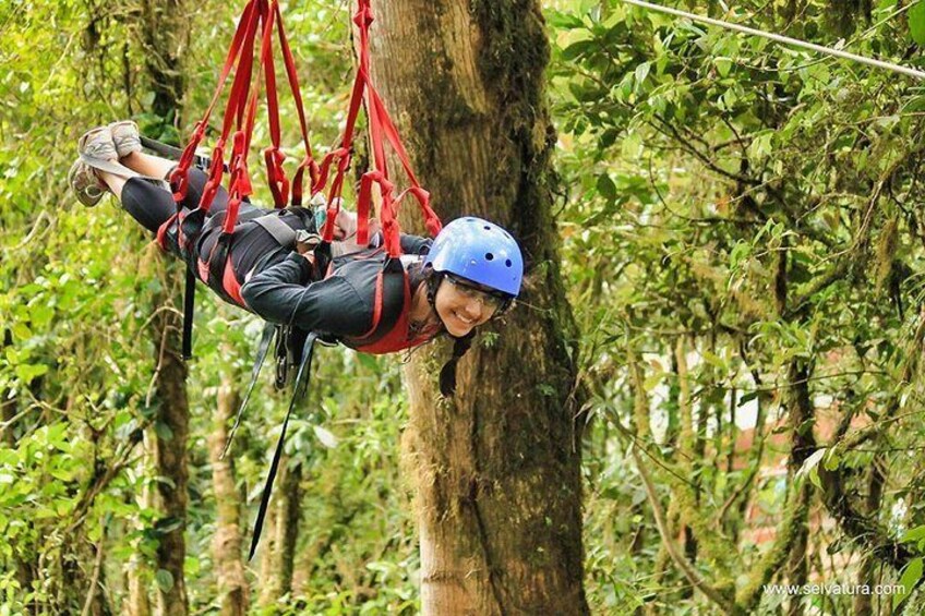 Monteverde Cloud Forest Zipline Tour