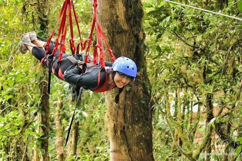 Monteverde Cloud Forest Zipline Tour