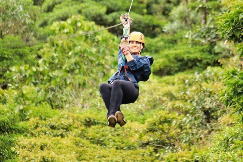 Monteverde Cloud Forest Zipline Tour