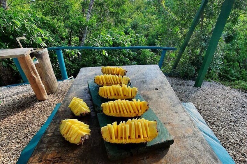 Rain Forest Canopy Tour from Tamarindo: Zipline, Hanging Bridge