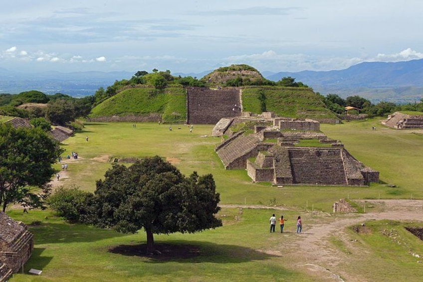 Half Day Monte Alban Tour from Oaxaca