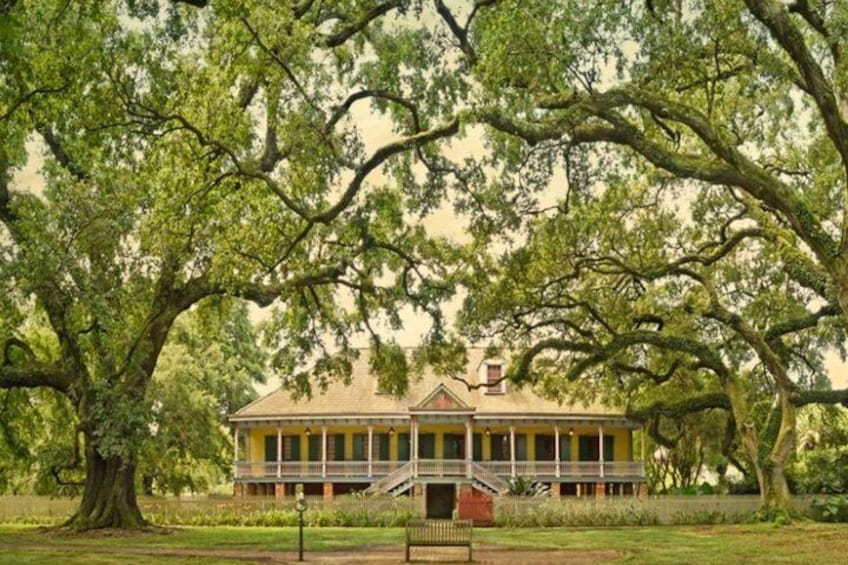 Laura Plantationhttps://www.tripadvisor.com/PreviewImage?p=11&img=184395381