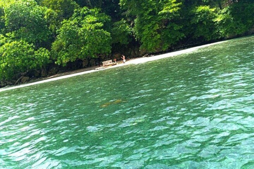 The Best of Port Antonio Day-Trip from Ocho Rios