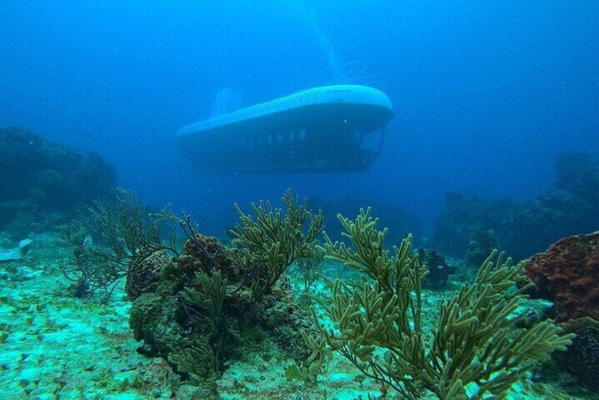 Cozumel Submarine Experience