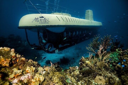 Expedition mit dem Atlantis-U-Boot in Cozumel