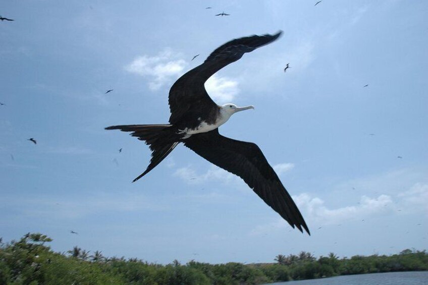 Isla Contoy Eco Adventure