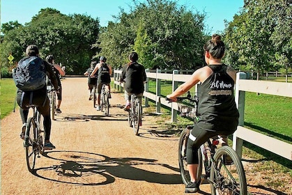 Small-Group Bike Tour in Austin