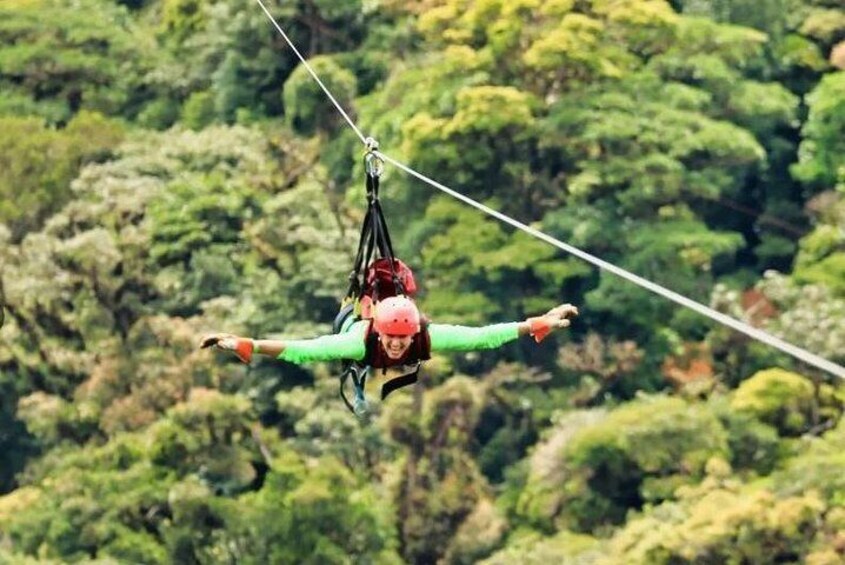 Full Monteverde Cloud Forest Experience With Ziplining and Lunch