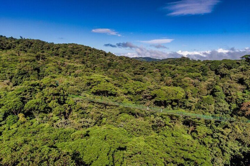 Full Monteverde Cloud Forest Experience With Ziplining and Lunch