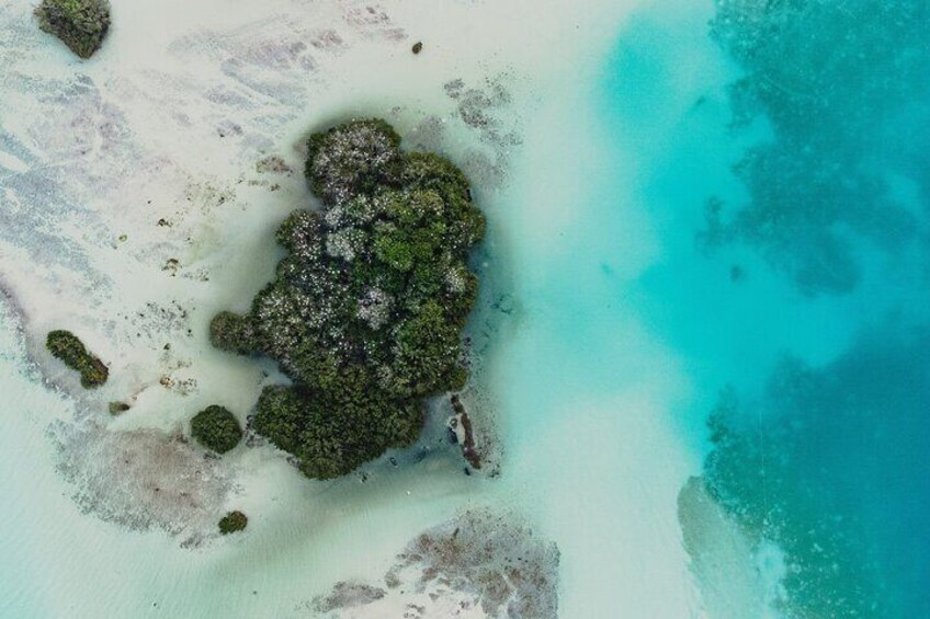 Bacalar Lagoon Sightseeing Boat Tour with Open Bar and Snacks 