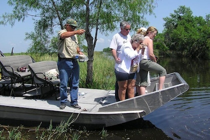 從紐奧良出發的小團體汽艇沼澤探險和莊園之旅