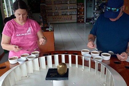Explore Local Culture and Coffee Tour from Guanacaste