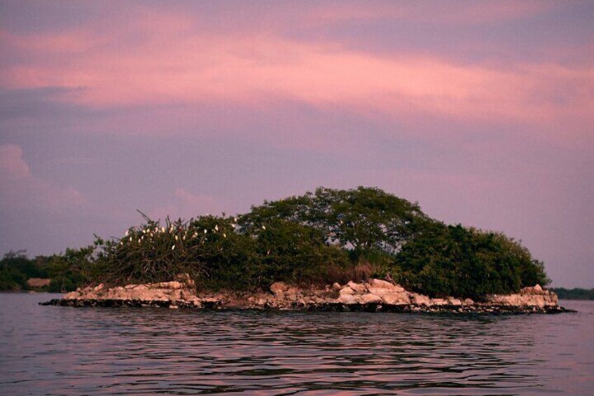 Bioluminescent Lagoon Boat Ride and Swim from Puerto Escondido