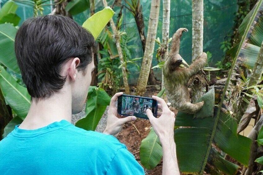 Tenorio Rain Forest Hanging Bridges & Sloth Encounter