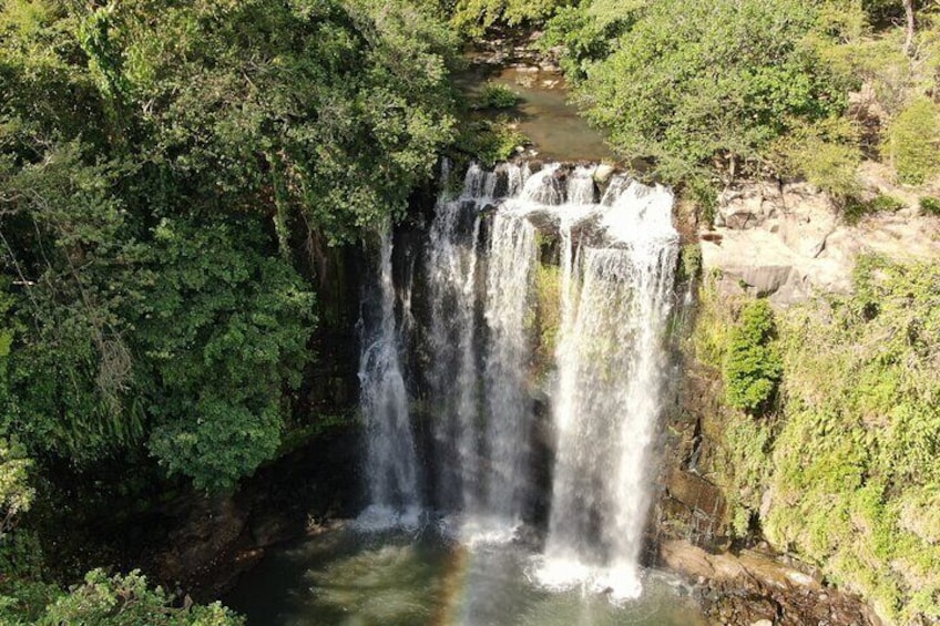 Tenorio Rain Forest Hanging Bridges & Sloth Encounter