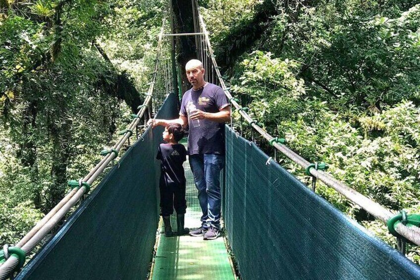 Tenorio Rain Forest Hanging Bridges & Sloth Encounter