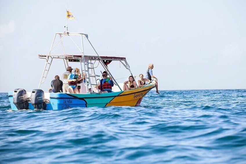 Whale Shark and Snorkeling Adventure from Isla Holbox